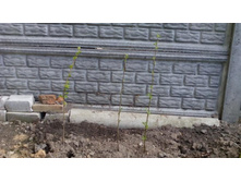  2 ������ - ��� - �� 250�/��