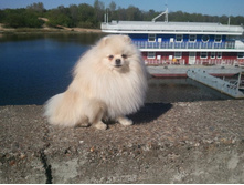 2014-05-09 16.13.08.jpg