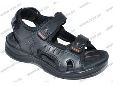 A20133 ����..jpg