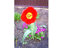 �������