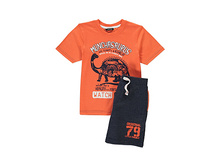 2 Piece Dino T-Shirt & Shorts Set 