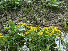 �����-�� �������� �������� �����