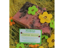 ������ ����� - �ף���� ����, 100��. 96 �.