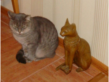 � - �����.JPG