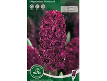 ������� �������.jpg