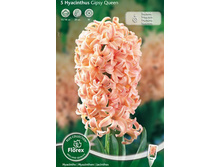 ������� ������ ����.jpg