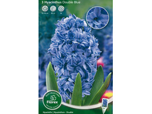 ������� ���������� ���.jpg