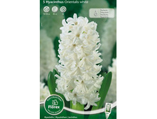 ������� ���������� ����.jpg