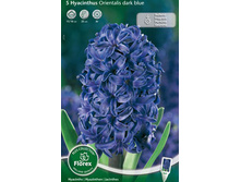 ������� ���������� ���-���.jpg