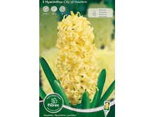 ������� ���� �� ������.jpg