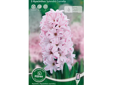 ������� �������� ��������.jpg