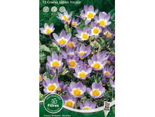 ������ ������� ��������.jpg