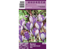 Crocus-Yalta-1 9,8.jpg