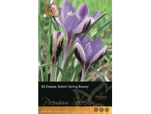 ������ ����� �����.jpg