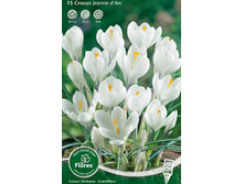 ������ ����� �'���.jpg