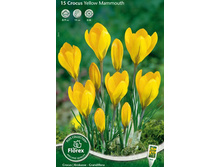 ������ ������ ������.jpg