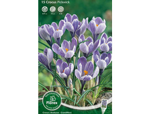 ������ ������.jpg