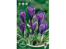 ������ ����� ������.jpg