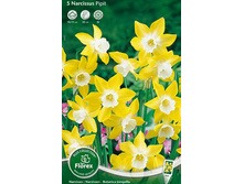 ������� �����.jpg