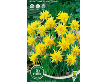 ������� ��� ��� ������.jpg