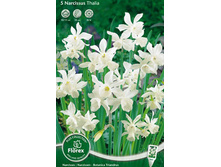 ������� �����.jpg