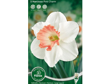 ������� ���� ����.jpg