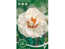 ������� ���������.jpg