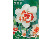 ������� ������.jpg