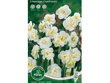 ������� ���������.jpg