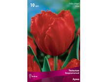 ������� ����.jpg