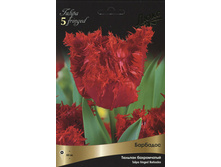 ������� ��������.jpg