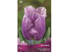 ������� ��� �����.jpg