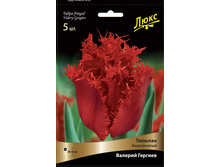 ������� ������� �������.jpg