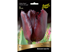 ������� ������� ��� ���.jpg