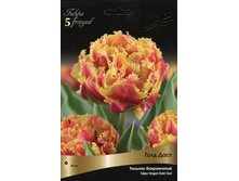 ������� ���� ����.jpg