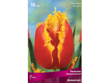 ������� ���������.jpg