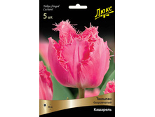 ������� ��������.jpg