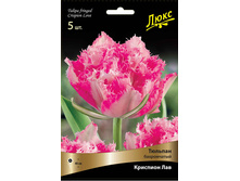 ������� �������� ���.jpg