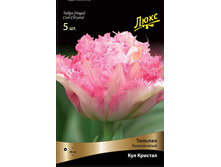 ������� ��� �������.jpg