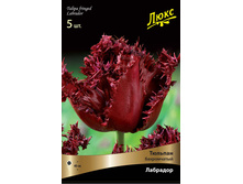 ������� ��������.jpg