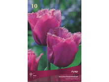 ������� ����.jpg