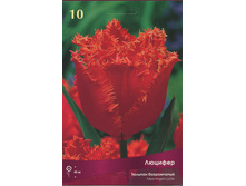 ������� �������.jpg