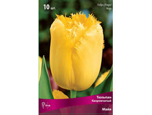 ������� ����.jpg