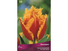 ������� ��������.jpg