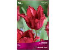 ������� ������� ����.jpg