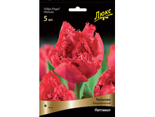 ������� ��������.jpg