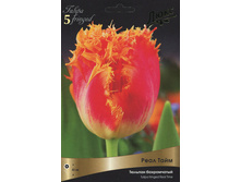 ������� ���� ����.jpg