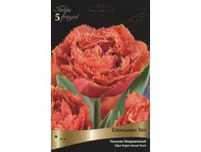 ������� �������� ���.jpg