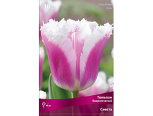 ������� ������.jpg