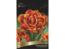 ������� ������ �����.jpg